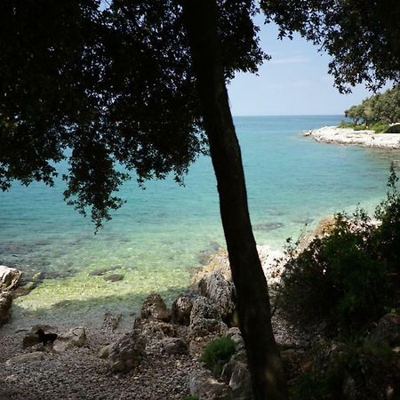 Guesthouse Galeb Vrsar Exterior photo
